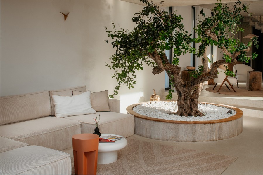 Vardagsrum med integrerat träd och ljus inredning