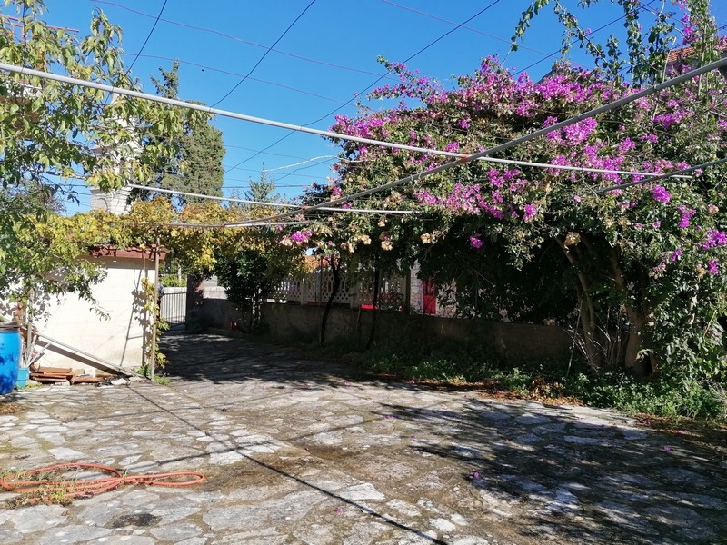 Trädgårdsområde med bougainvillea och stengolv
