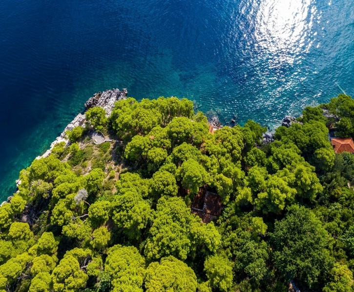 Medelhavsfastighet i 1:a raden till havet till salu i södra Dalmatien.