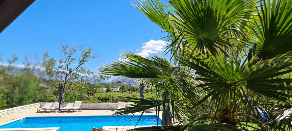 Pool med utsikt över palmer