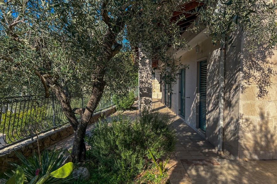 Medelhavsträdgård med olivträd vid huset