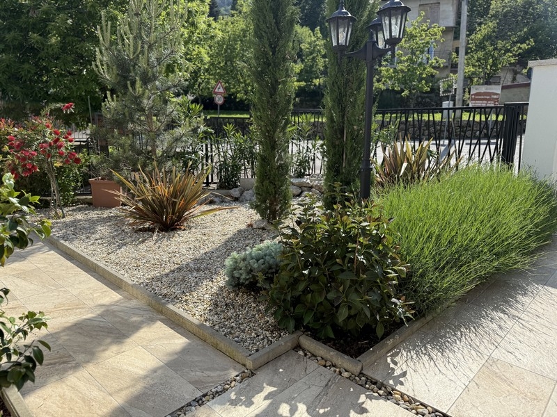 Välskött trädgård med medelhavsväxter