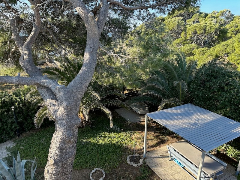 Trädgård med medelhavsväxter och skuggig uteservering