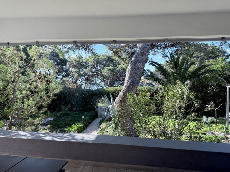 Utsikt från balkongen in i den gröna trädgården med gamla träd och avskildhet