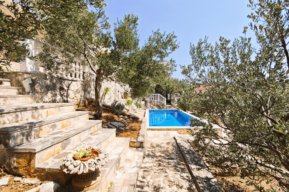 Trädgårdsområde med pool och medelhavsväxter