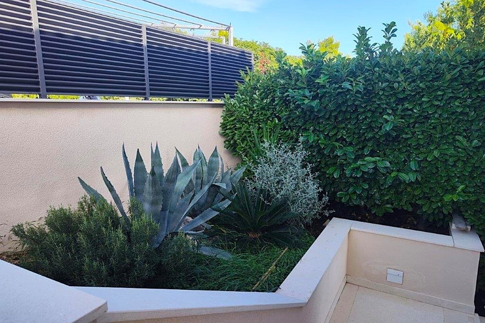 Trädgårdsområde med medelhavsväxter och stenväggar