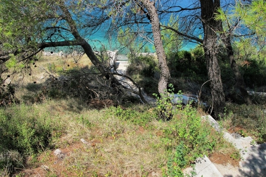 Tomt med tallar och havsutsikt i Kroatien