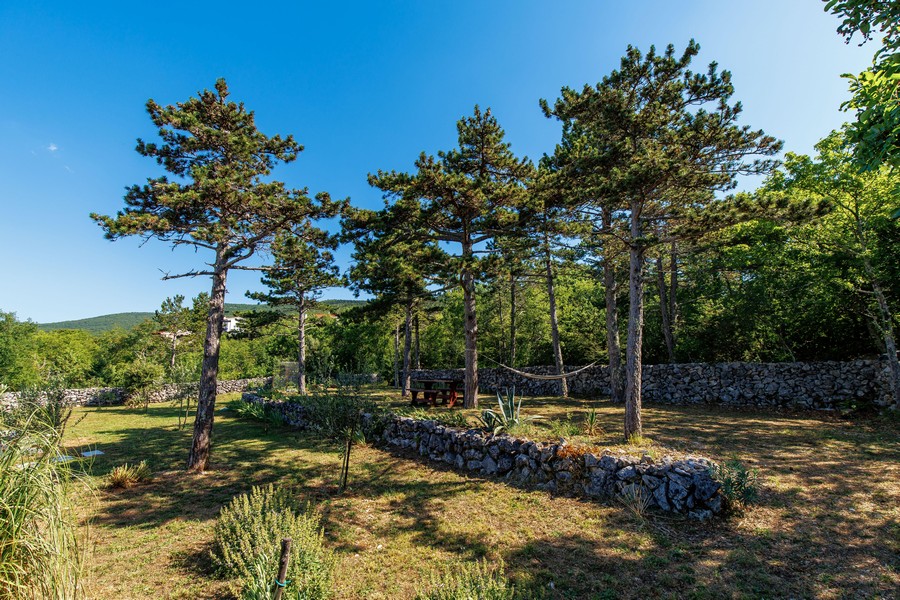 Stor tomt med tallar i Kroatien