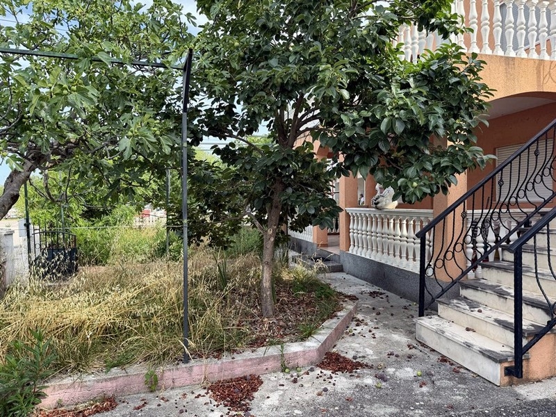 Trädgård med fruktträd och yttre trappor