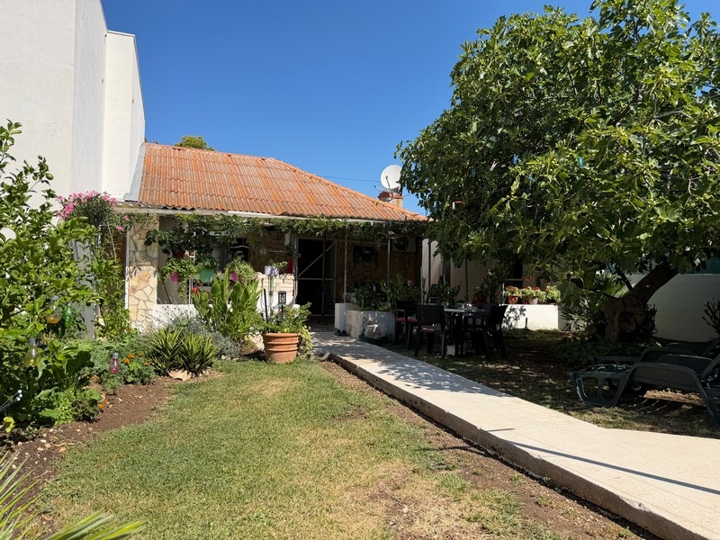 Trädgård med gräsmatta och hus i Kroatien