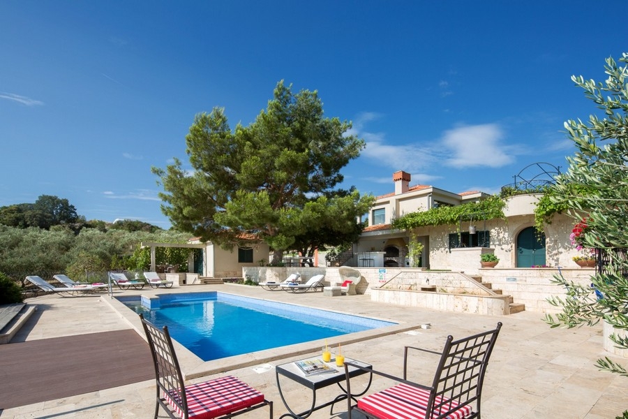 Pool med solplats under en gammal tall