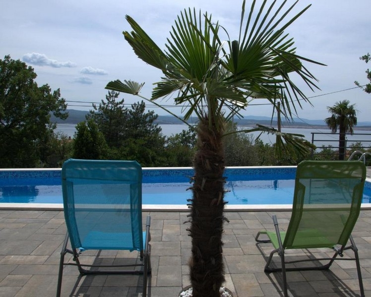 Pool med solstolar och palm i Crikvenica