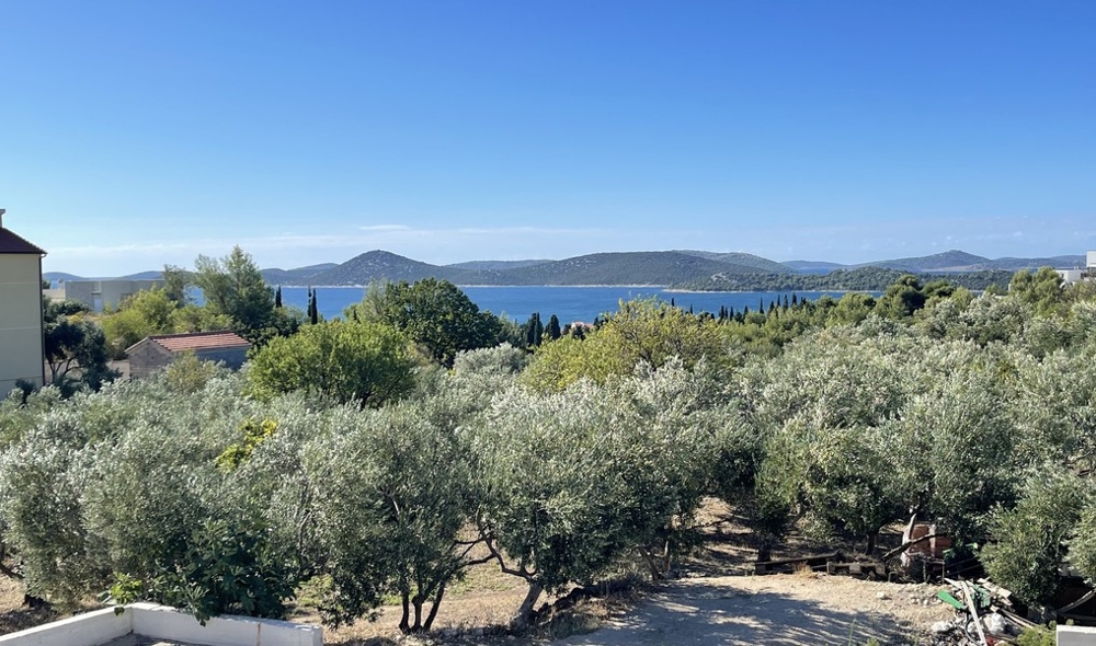 Havsutsikt över olivlundar till Adriatiska havet i Vodice