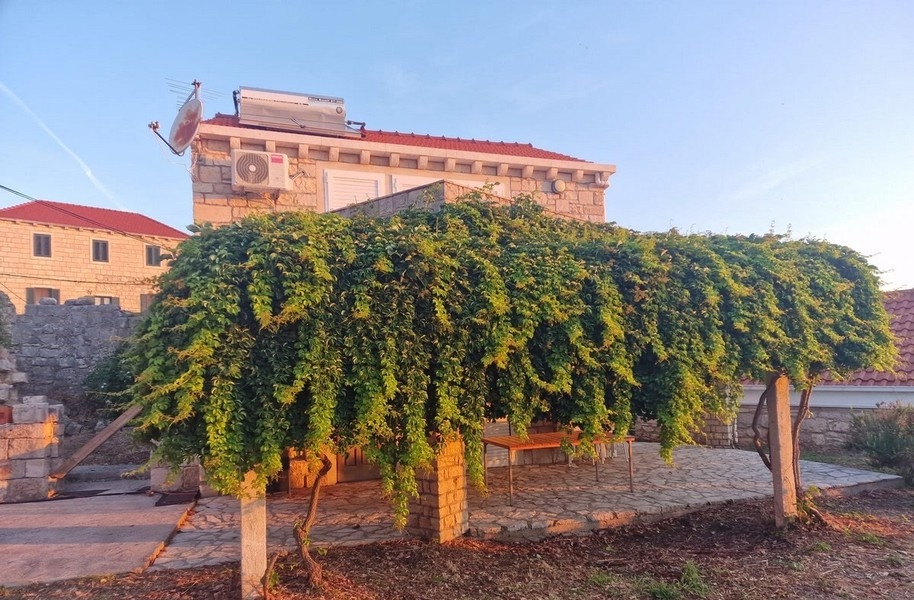 Stenhus med bevuxen pergola och terrass